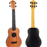 Flight Travel TUC-53 MAH Image #2