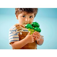 Конструктор LEGO Duplo 10982 Трактор для перевозки овощей и фруктов - Превью изображения №6 — Интернет-магазин Teono.by