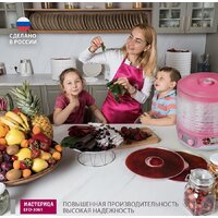Сушилка для овощей и фруктов Мастерица EFD-3061 (розовый перламутр) - Превью изображения №8 — Интернет-магазин Teono.by