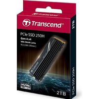 Transcend 250H 2TB TS2TMTE250H Image #4