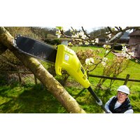 Ryobi RPP750S Image #2