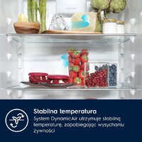 Холодильник Electrolux E7TNGE18S - Превью изображения №2 — Интернет-магазин Teono.by