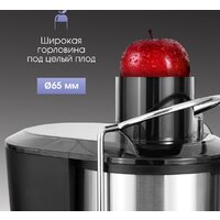 Соковыжималка Zigmund & Shtain EJ-757 - Превью изображения №5 — Интернет-магазин Teono.by