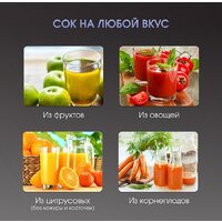 Соковыжималка Zigmund & Shtain EJ-757 - Превью изображения №9 — Интернет-магазин Teono.by