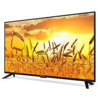 Polarline 40PL11TC-SM (rev.2) Image #2