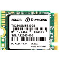 Transcend 300S 256GB TS256GMTE300S Image #1