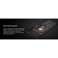 Варочная панель MAUNFELD CVI292S2FBK Inverter - Превью изображения №9 — Интернет-магазин Teono.by