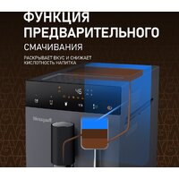 Кофемашина Weissgauff WCM-245 DBx Touch Cappuccino - Превью изображения №9 — Интернет-магазин Teono.by