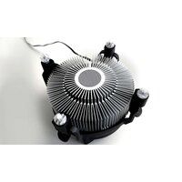 Arctic Alpine 17 ACALP00040A Image #3