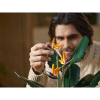 LEGO Creator Expert 10289 Райская птица Image #26