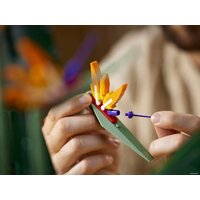 LEGO Creator Expert 10289 Райская птица Image #23