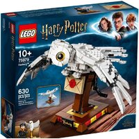 LEGO Harry Potter 75979 Букля