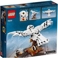 LEGO Harry Potter 75979 Букля Image #2