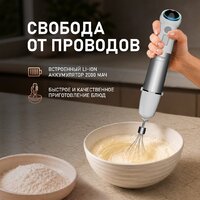Погружной блендер Weissgauff WHB 341 PTW CordLess Titan - Превью изображения №11 — Интернет-магазин Teono.by