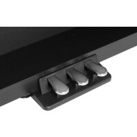 Medeli DP420K (черный) Image #4