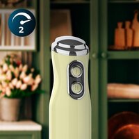Погружной блендер Cecotec Power RetroGreen 1200MAX Cream&Crush - Превью изображения №5 — Интернет-магазин Teono.by