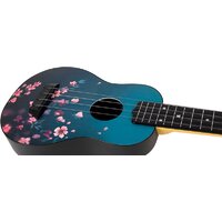 Flight TUS 32 Sakura Image #4