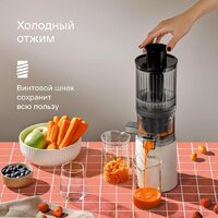 Соковыжималка Tuvio TJ04PM - Превью изображения №3 — Интернет-магазин Teono.by