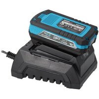 Dedra DED7031 (с 1-им АКБ) Image #7