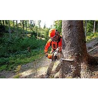 STIHL MS 362 Image #2