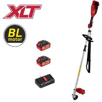 Wortex TB 3036-1 ALL1 XLT Set 1334872 (с 2-мя АКБ)