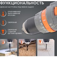 Patriot BR 212 UES 180301512 (с 2-мя АКБ, кейс) Image #8