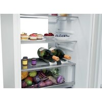 Холодильник Haier HBQW7518D - Превью изображения №4 — Интернет-магазин Teono.by