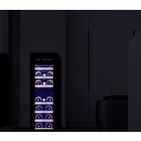Винный шкаф Meyvel MV19-KBF2 - Превью изображения №11 — Интернет-магазин Teono.by