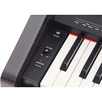 Roland RP30 Image #6