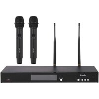 LAudio RWS-HHD