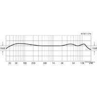 Lewitt DTP 340 Rex Image #10