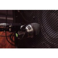 Lewitt DTP 340 Rex Image #8