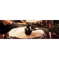 Lewitt DTP 340 Rex Image #6