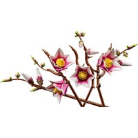 Конструктор LEGO Botanicals 11510 Ветви магнолии - Превью изображения №2 — Интернет-магазин Teono.by