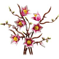 Конструктор LEGO Botanicals 11510 Ветви магнолии - Превью изображения №3 — Интернет-магазин Teono.by