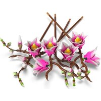 Конструктор LEGO Botanicals 11510 Ветви магнолии - Превью изображения №4 — Интернет-магазин Teono.by