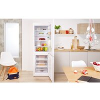 Холодильник Indesit DS 4200 W - Превью изображения №3 — Интернет-магазин Teono.by