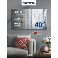 Телевизор Витязь D40FN01BF - Превью изображения №9 — Интернет-магазин Teono.by