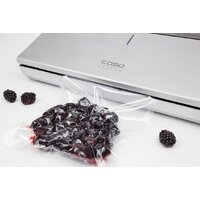 CASO GourmetVAC 480 Image #13