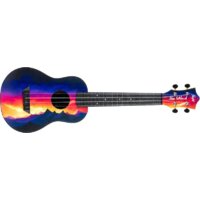 Flight TUC-EE Sunset Image #5