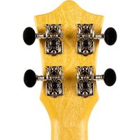 Flight TUC-EE Sunset Image #11