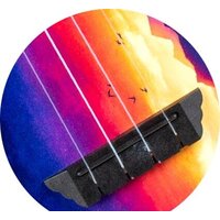 Flight TUC-EE Sunset Image #8