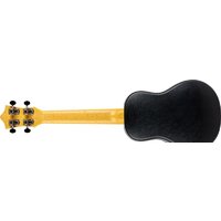 Flight TUC-EE Sunset Image #6