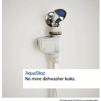 Bosch Serie 4 SPI4EMS17E Image #5