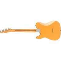 Fender Player Plus Nashville Telecaster Butterscotch Blonde Image #2