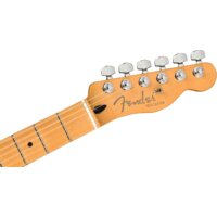Fender Player Plus Nashville Telecaster Butterscotch Blonde Image #5