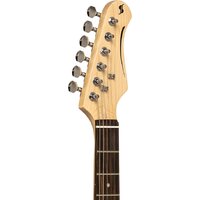 Stagg SES-30 IBM Image #4