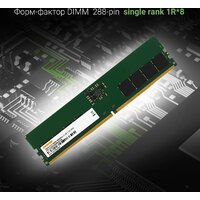 Оперативная память Digma 16ГБ DDR5 4800 МГц DGMAD54800016S - Превью изображения №3 — Интернет-магазин Teono.by