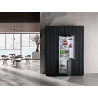 Холодильник Miele KFN 7744 C 125 Gala Ed - Превью изображения №2 — Интернет-магазин Teono.by