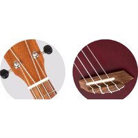 Flight NUS380 Coral Image #5